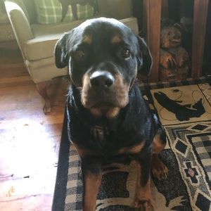 Meet your Posher, Sara